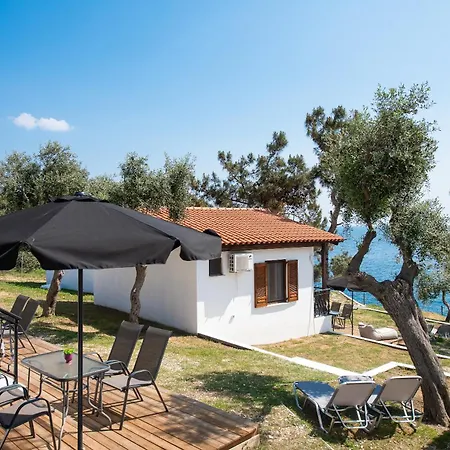 Acroterra - Easy Living