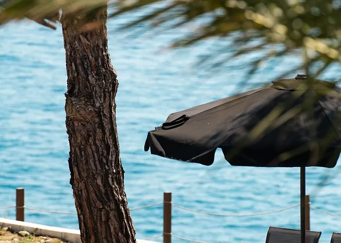 Acroterra - Easy Living